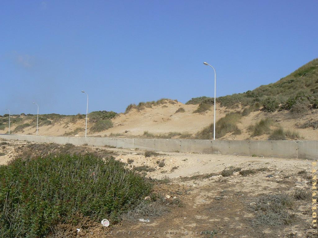 LA GRANDE PLAGE 2009 (3) route a la grande plage.jpg